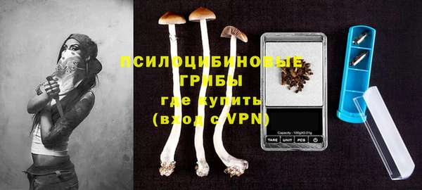 a pvp Богородицк