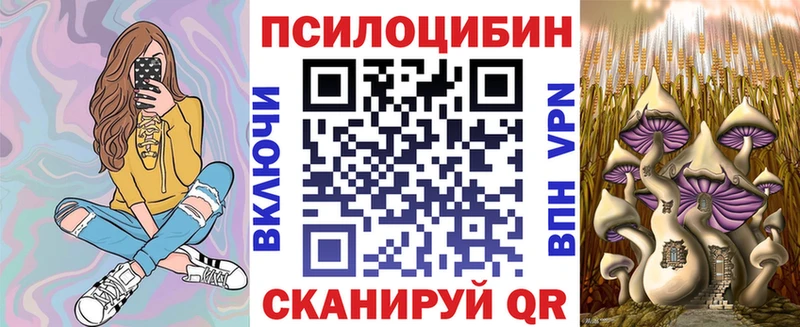 KRAKEN сайт Волосово Псилоцибиновые грибы мицелий